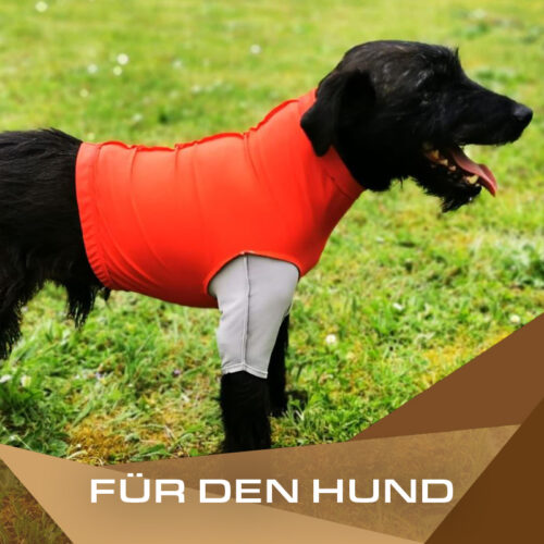 Für den Hund