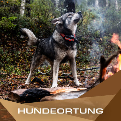 Hundeortung